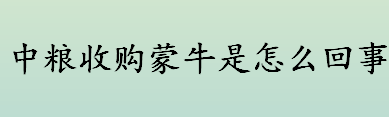 中粮收购蒙牛是哪一年？中粮收购蒙牛原因有哪些? 