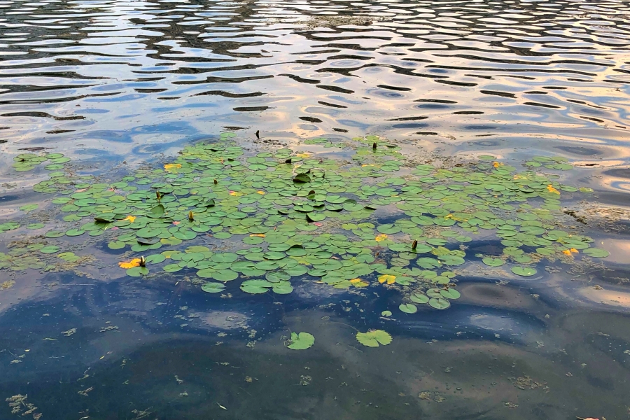 研究人员研究表明降雨侵蚀力对河流输沙量影响最大