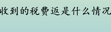 收到的税费返还是什么情况 现金流量表是什么 