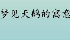 梦见天鹅的寓意 梦见天鹅预示着什么