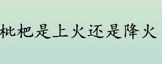 枇杷成熟季节是几月份？枇杷是上火还是降火？枇杷银耳粥怎么做？