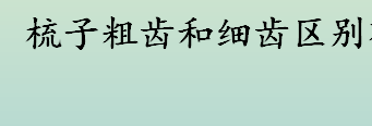 梳子粗齿和细齿区别有哪些？梳子会影响发质吗？