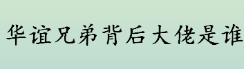 华谊兄弟背后大佬是谁 王中军创业史简介