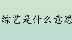 综艺是什么意思？没谈过恋爱的我定档什么时候？