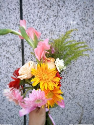 一枝康乃馨零售价8元！今年鲜花价格创历史新高