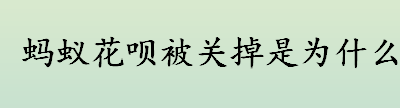 蚂蚁花呗被关掉是为什么 花呗永久性封闭的原因是什么