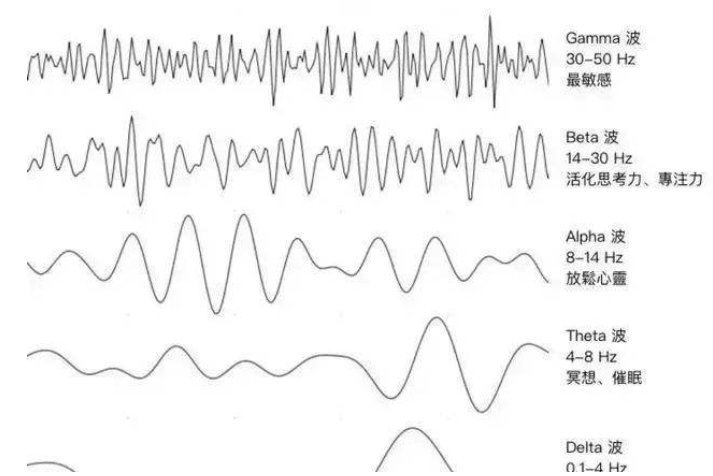 垂死之人脑电波数据显示濒死之时脑电波活跃或在回味人生