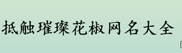 抵触璀璨花椒网名有哪些 抵触璀璨花椒网名大全