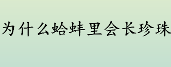 为什么蛤蚌里会长珍珠 珍珠的形成原理是什么