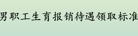 男职工生育医疗费补贴是多少 合肥男职工生育报销待遇领取标准 