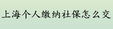 上海个人缴纳社保怎么交？上海社保缴纳流程介绍