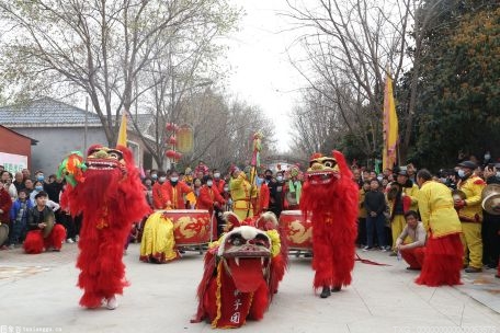 13年“狮龄”！她让全世界看到中国醒狮女孩的风采
