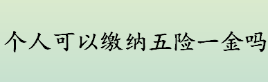 个人可以缴纳五险一金吗？个人如何缴纳五险一金？