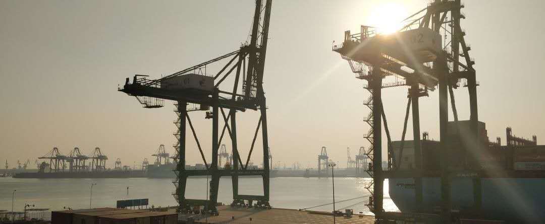 优化货物流转模式 深圳港上半年进出口吞吐量稳步增长