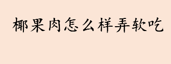 椰果肉怎么样弄软吃 椰果肉的吃法有哪些