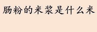 肠粉的米浆是什么米 肠粉的米浆是什么做的