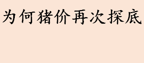 生猪价格跌至每斤6元左右 为何猪价再次探底