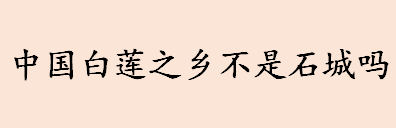 中国白莲之乡是哪里 中国白莲之乡是石城还是广昌县