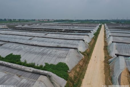 河北宁晋县累计建成高标准农田22.12万亩
