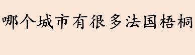 哪个城市有很多法国梧桐 郑州的市树是什么