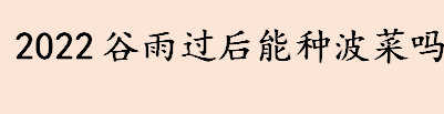 2022谷雨过后能种波菜吗 菠菜什么时候种植好