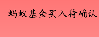 基金买入待确认是什么意思 蚂蚁基金买入待确认代表什么 