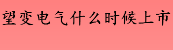 望变电气什么时候上市 望变电气新股申购价格是多少？