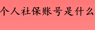 个人社保账号是什么 社保个人账号初始密码是什么