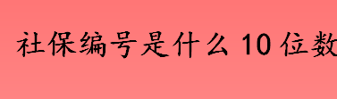 个人社保编号有几位数 个人社会保障号码是什么