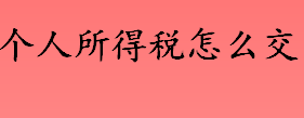 个人所得税怎么交 个人所得税多久交一次