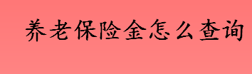 养老保险金怎么查询 养老保险金的多种查询方式盘点