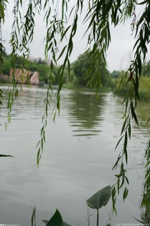 昨日莫愁湖景区室外区域恢复开放