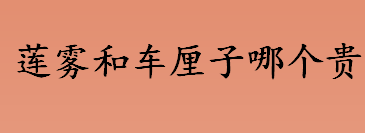 莲雾和车厘子哪个贵 高血压患者可以吃莲雾吗