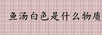 鱼汤白色物质是什么 鱼汤变白是什么原因