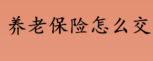 养老保险怎么交 养老保险的缴费标准是什么