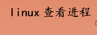 linux如何查看进程 linux查看进程的方法是什么 