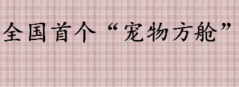 全国首个“宠物方舱”在哪里 全国首个“宠物方舱”长什么样