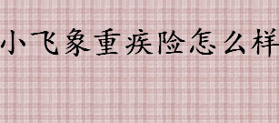 小飞象重疾险怎么样？如何区分一款重疾险好不好？