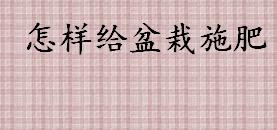 如何给盆栽施肥 新买的植物盆栽要施肥吗