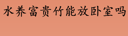 水养富贵竹能放在卧室吗 水养富贵竹原产于哪个国家