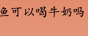 鱼可以喝牛奶吗 可以在鱼缸里加牛奶吗