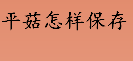 平菇买多了怎样保存 平菇保存方法推荐