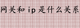 网关和ip是什么关系 网关和IP地址的关系是什么