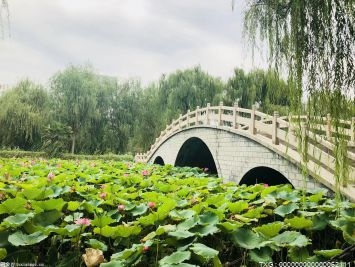 国家植物园在北京正式揭牌 它长啥样？以打卡拍照吗？