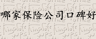 哪家保险公司口碑好？买保险需要注意什么？2022年口碑排名靠前的保险公司