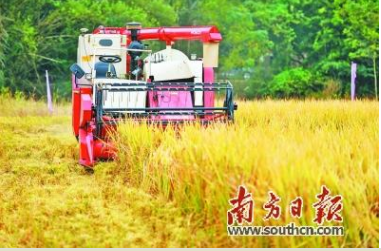 2021年广东农业总产值和增速均创1987年以来的最高水平