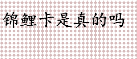 锦鲤卡是什么？锦鲤卡是真的吗？锦鲤卡优惠力度怎么样？