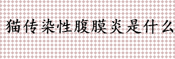 猫传染性腹膜炎是什么怎么治 猫终身携带冠状病毒吗？