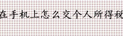 在手机上怎么交个人所得税？手机交个税的方法流程一览