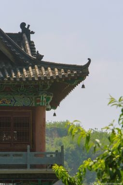 走进南京龙袍街道长江社区：传统村落里的“长江故事”